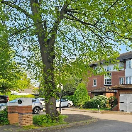 Lovely Flat Close To Shepherd'S Bush Apartment Londra Exterior foto